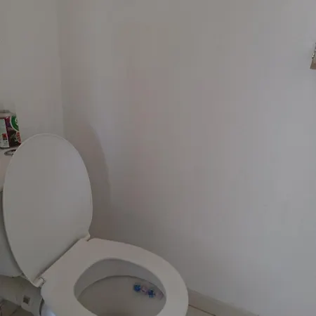 Entre Aubrac Et Vallee Du Lot Apartment *