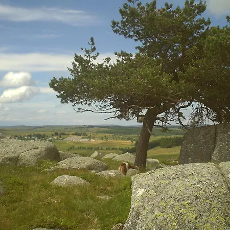 Entre Aubrac Et Vallee Du Lot Pierrefiche (Aveyron)